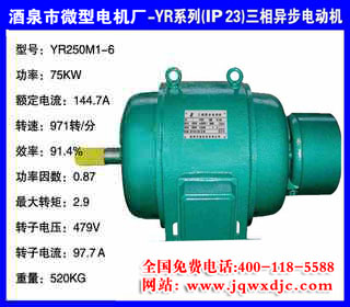 75KW ���� YRϵ��(IP23)�����첽�綯�� YR250M1-6